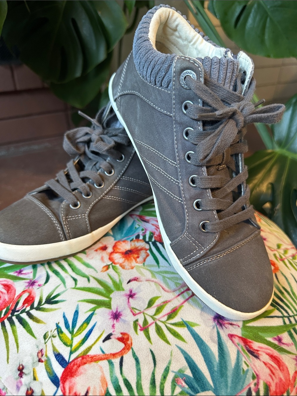 Taos women’s Gray bootie Canvas Sneakers with Padded Collar